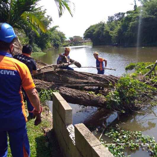 Defesa Civil e Sesep fazem operação para retirada de árvore no Rio Juqueriquerê