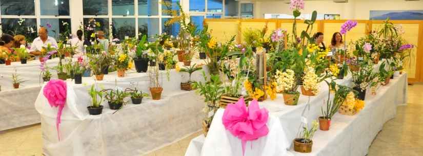 Caraguatatuba abre na sexta-feira a 41ª Exposição de Orquídeas