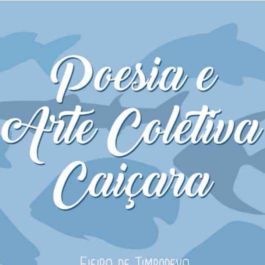 padrão capa 3