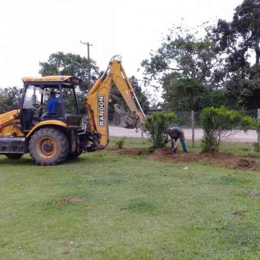 Prefeitura retira árvores plantadas de forma irregular na Praia das Palmeiras e remaneja para Pegorelli