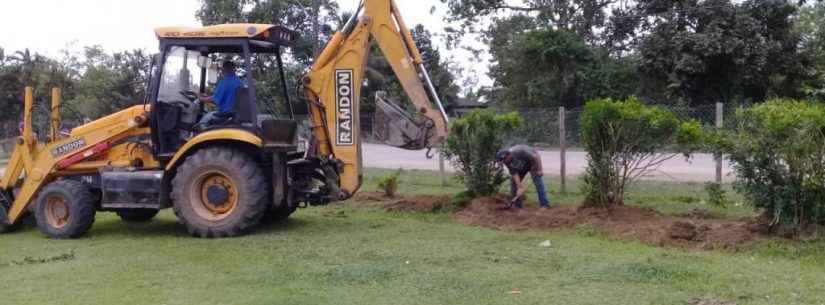 Prefeitura retira árvores plantadas de forma irregular na Praia das Palmeiras e remaneja para Pegorelli