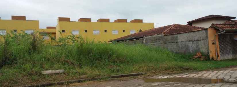 Prefeitura de Caraguatatuba intensifica fiscalização em lotes com matagal e calçadas irregulares