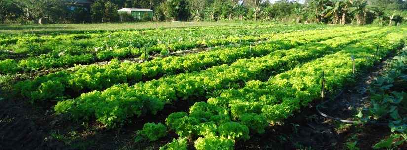 5ª Oficina da Agricultura Familiar segue com inscrições abertas