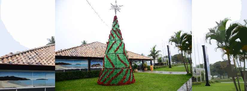 Avenida da Praia de Caraguatatuba ganha árvore de Natal feita de garrafas pets