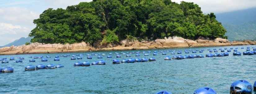 Prefeitura de Caraguatatuba oficializa passeio turístico para Fazenda de Mexilhão na Praia da Cocanha