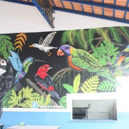 EMEF Maria Moraes de Caraguatatuba transforma paredes em obra de arte