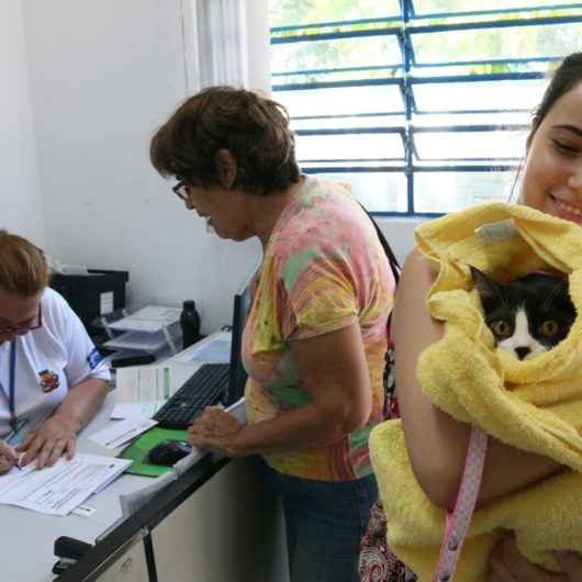 Pet’s aguardam por adoções em feira do CCZ de Caraguatatuba neste sábado (15/02)