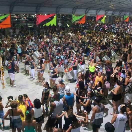 Bloco do Urso invade Avenida do Samba com sua missão solidária