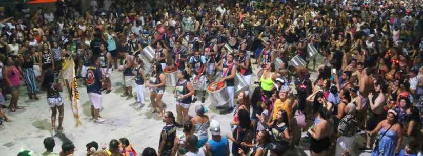 Bloco do Urso invade Avenida do Samba com sua missão solidária