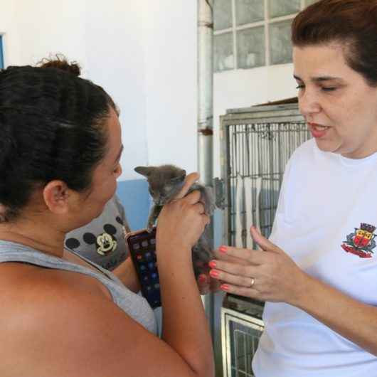 Feiras de adoção do CCZ é oportunidade para quem não pode ir à unidade durante a semana