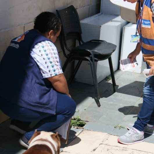 “Minha Família Sem Dengue” contará com ações durante o Carnaval em Caraguatatuba