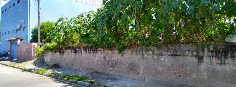 Prefeitura de Caraguatatuba autua dono de terreno baldio na região sul da cidade
