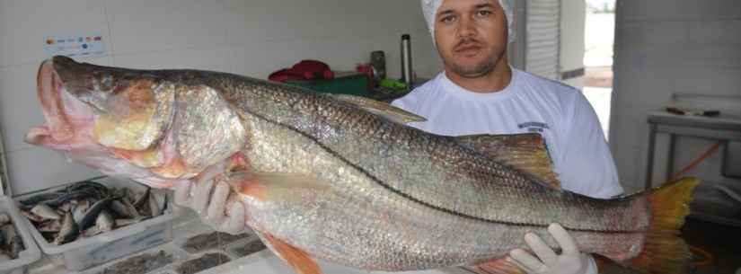 Vendas no Entreposto de Pesca do Camaroeiro crescem em média 50% após revitalização