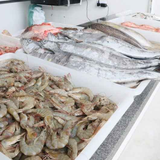 Entreposto de Pesca do Camaroeiro segue regras sanitárias na venda de pescado na Semana Santa