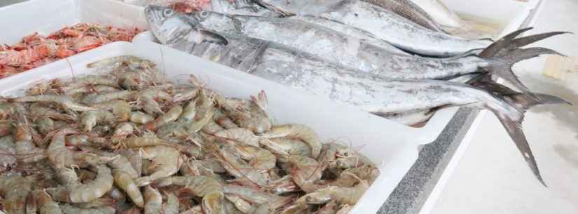 Entreposto de Pesca do Camaroeiro segue regras sanitárias na venda de pescado na Semana Santa