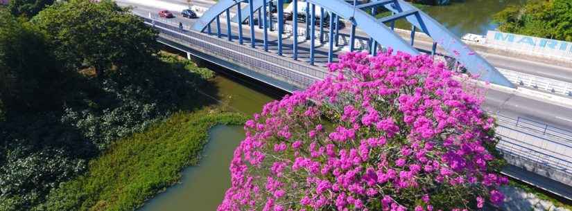 Prefeitura de Caraguatatuba vai instalar lanças na ponte do Porto Novo