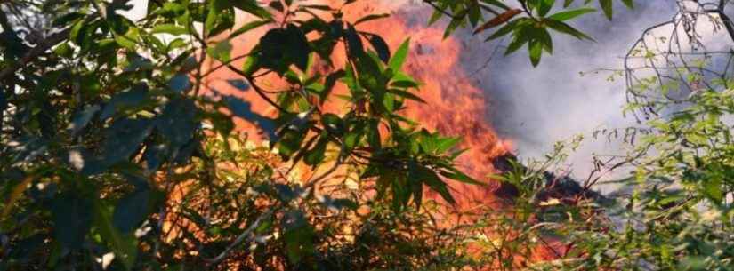 Tempo seco e imprudência são riscos para aumento da incidência de queimadas