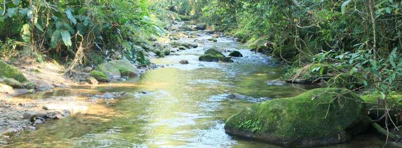 Caraguatatuba faz testes para Covid-19 em monitores do Parque Estadual Serra do Mar