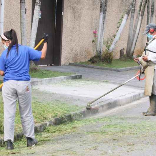 Prefeitura de Caraguatatuba convoca mais 26 bolsistas do PEAD