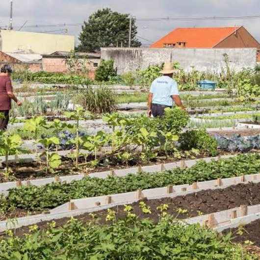 Prefeitura de Caraguatatuba cria projeto ‘Horta Comunitária no seu bairro’