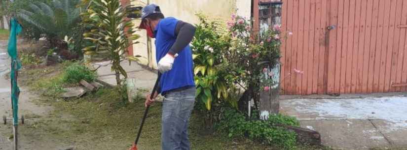 Golfinhos e Santamarina recebem operação de limpeza