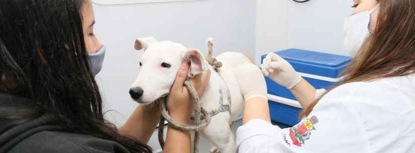 CCZ reinicia agendamento presencial para castração de cães e gatos com entrega de 20 senhas