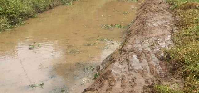 Prefeitura recebe limpeza e desassoreamento de vala no bairro Jetuba Prefeitura recebe limpeza e desassoreamento de vala no bairro Jetuba