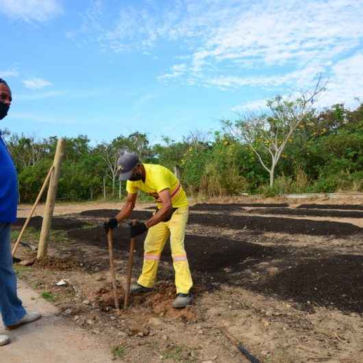 Prefeitura instala horta comunitária na Fundação Casa