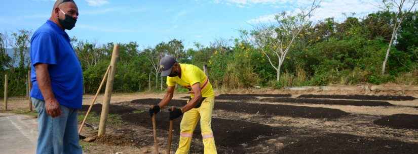 Prefeitura instala horta comunitária na Fundação Casa