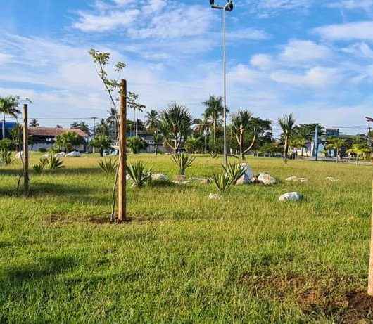 Prefeitura de Caraguatatuba planta mudas nativas em praças da cidade