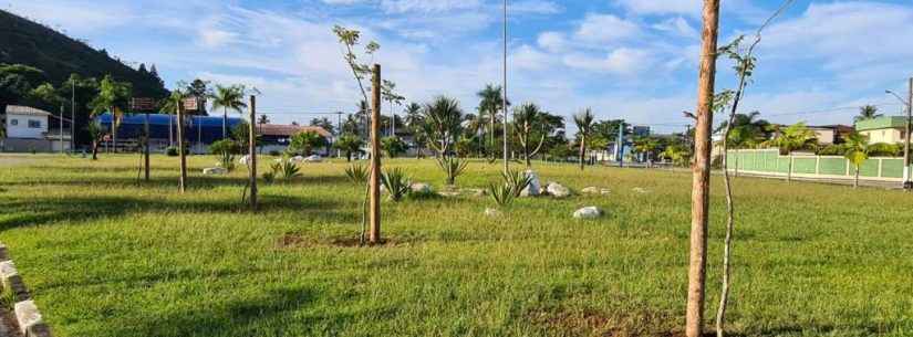 Prefeitura de Caraguatatuba planta mudas nativas em praças da cidade