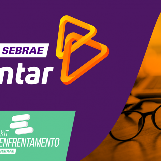 Sebrae/SP promove mentoria online e gratuita do Programa Enfrentar no início de fevereiro