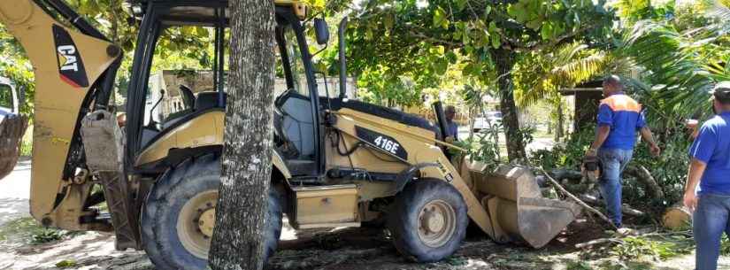 Prefeitura de Caraguatatuba retira árvores caídas após ocorrência de ressaca na praia da Mococa