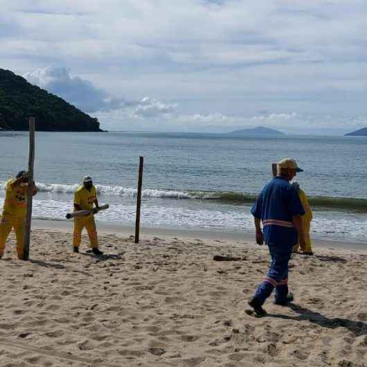 1Prefeitura de Caraguatatuba inicia ‘Operação Praia Limpa’ e retira pontaletes da Martim de Sá