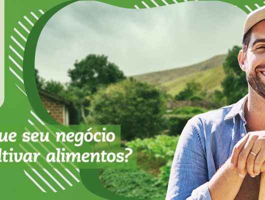 Sebrae abre capacitação gratuita em Olericultura para produtores rurais