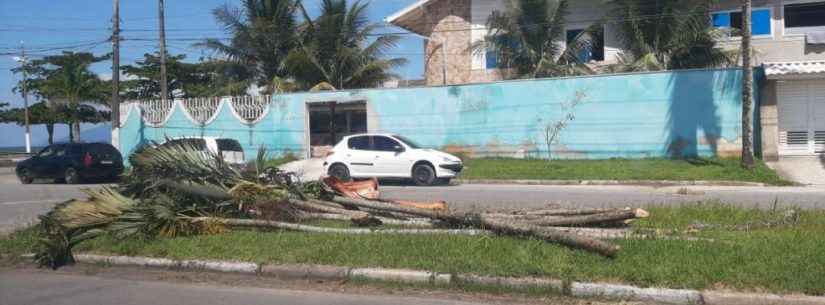 Morador é flagrado jogando resto de poda em via pública e Prefeitura dá prazo de 24 horas para fazer limpeza