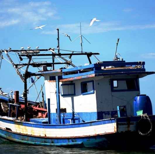 Concurso fotográfico e literário “Caraguatatuba: Pontos de vista, vista de um ponto