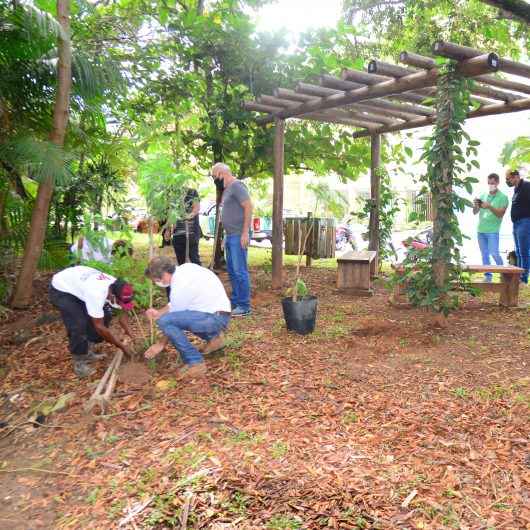 Prefeitura de Caraguatatuba realiza plantio de mudas nativas no Jardim Primavera e na Martim de Sá