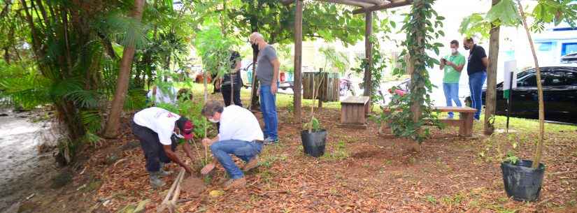 Prefeitura de Caraguatatuba realiza plantio de mudas nativas no Jardim Primavera e na Martim de Sá