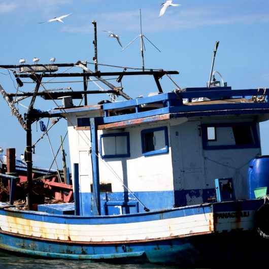 Poema ‘Hipótese de uma Hipófise’ e fotografia ‘Vista da Ponte’ são vencedores do concurso ‘Caraguatatuba: Pontos de vista, vista de um ponto’