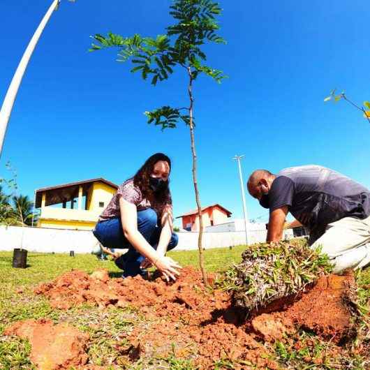 Caraguatatuba inicia projeto de arborização urbana no bairro Massaguaçu