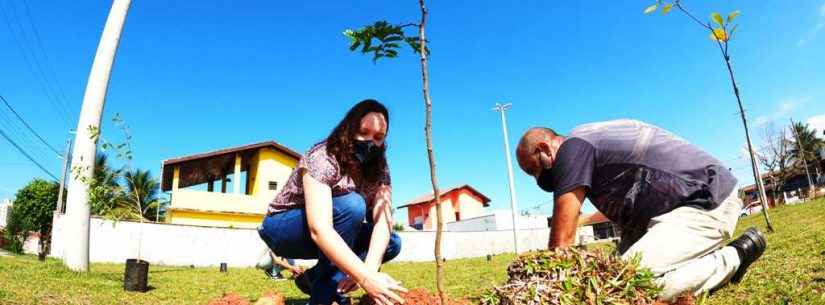 Caraguatatuba inicia projeto de arborização urbana no bairro Massaguaçu