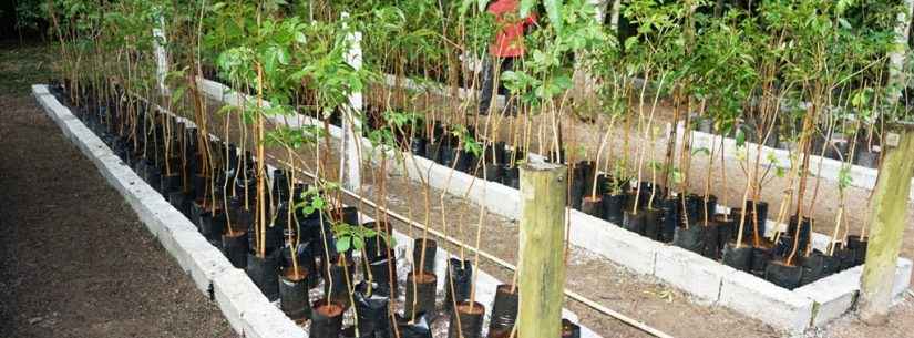 Caraguatatuba promove Mês do Ambiente com diversas ações de educação ambiental