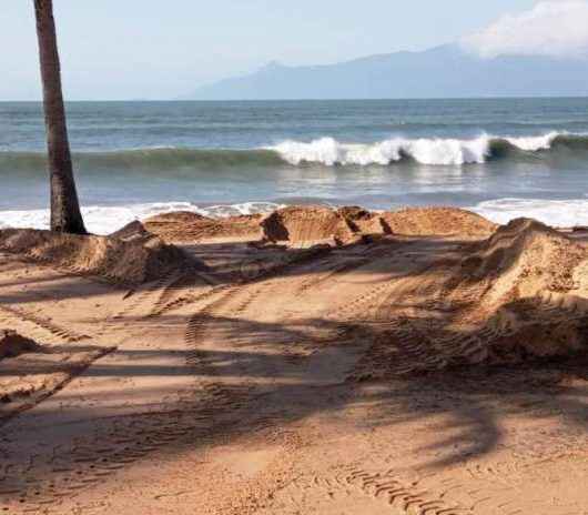 Prefeitura de Caraguatatuba devolve areia ao mar após forte ressaca na praia Martim de Sá