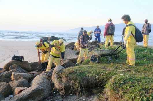 Operação Praia Limpa recolhe 55 toneladas de resíduos nesta sexta-feira (25) Operação Praia Limpa recolhe 55 toneladas de resíduos nesta sexta-feira (25)