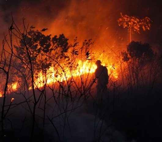 Queimadas irregulares geram 35 autuações neste ano em Caraguatatuba