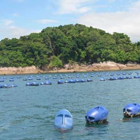 Comunidade da Cocanha, em Caraguatatuba, pode ser transformada em Vila Turística