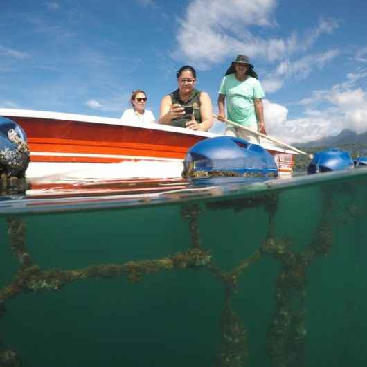 Caraguatatuba faz parte da Rota Gastronômica da Secretaria de Turismo e Viagens do Estado