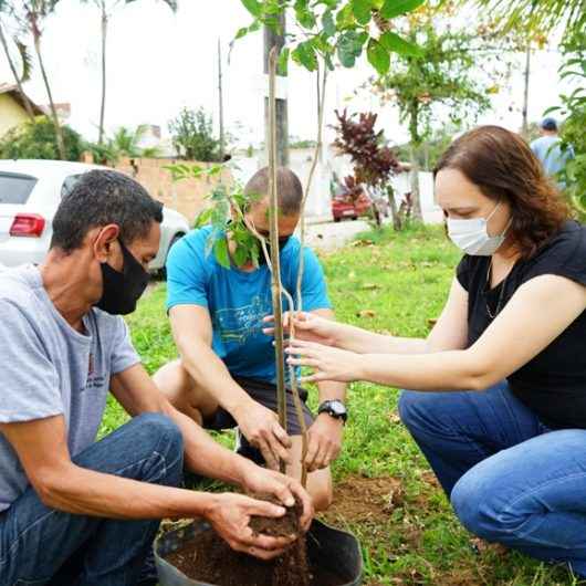 Prefeitura de Caraguatatuba faz plantio de mudas nativas no Jardim Tarumãs