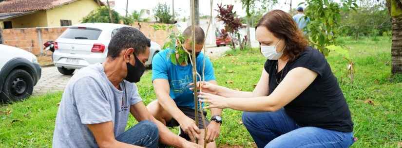 Prefeitura de Caraguatatuba faz plantio de mudas nativas no Jardim Tarumãs